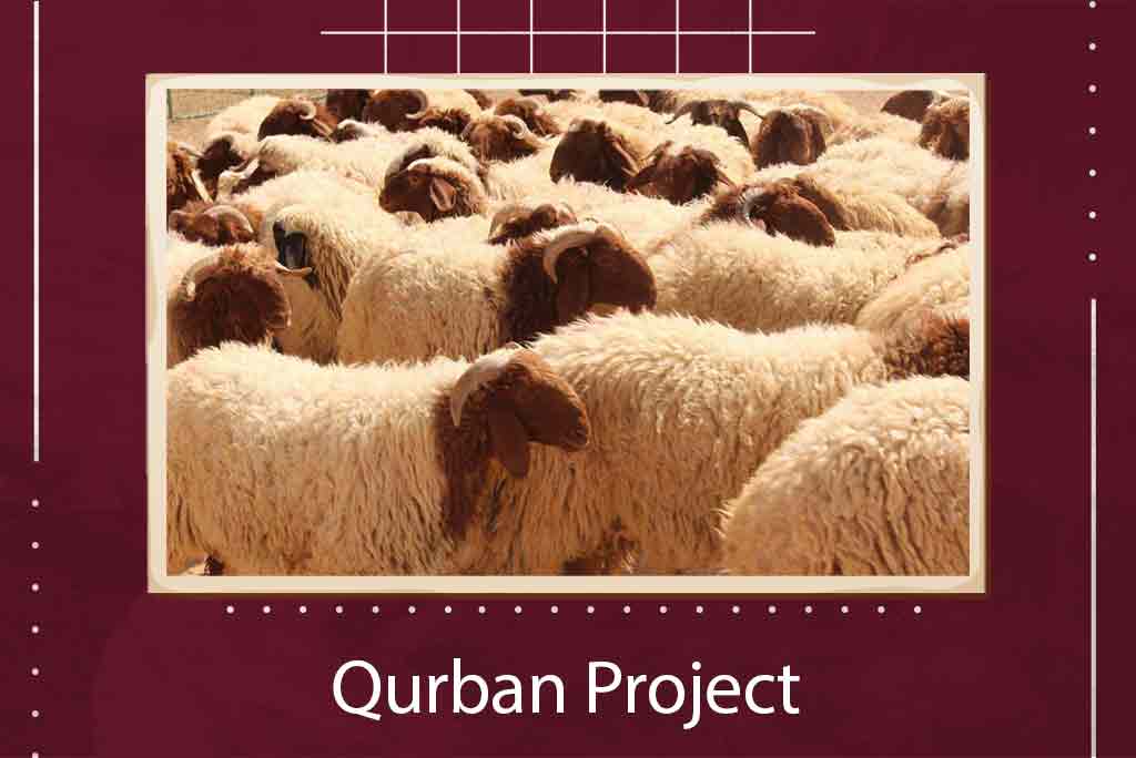Qurban Project